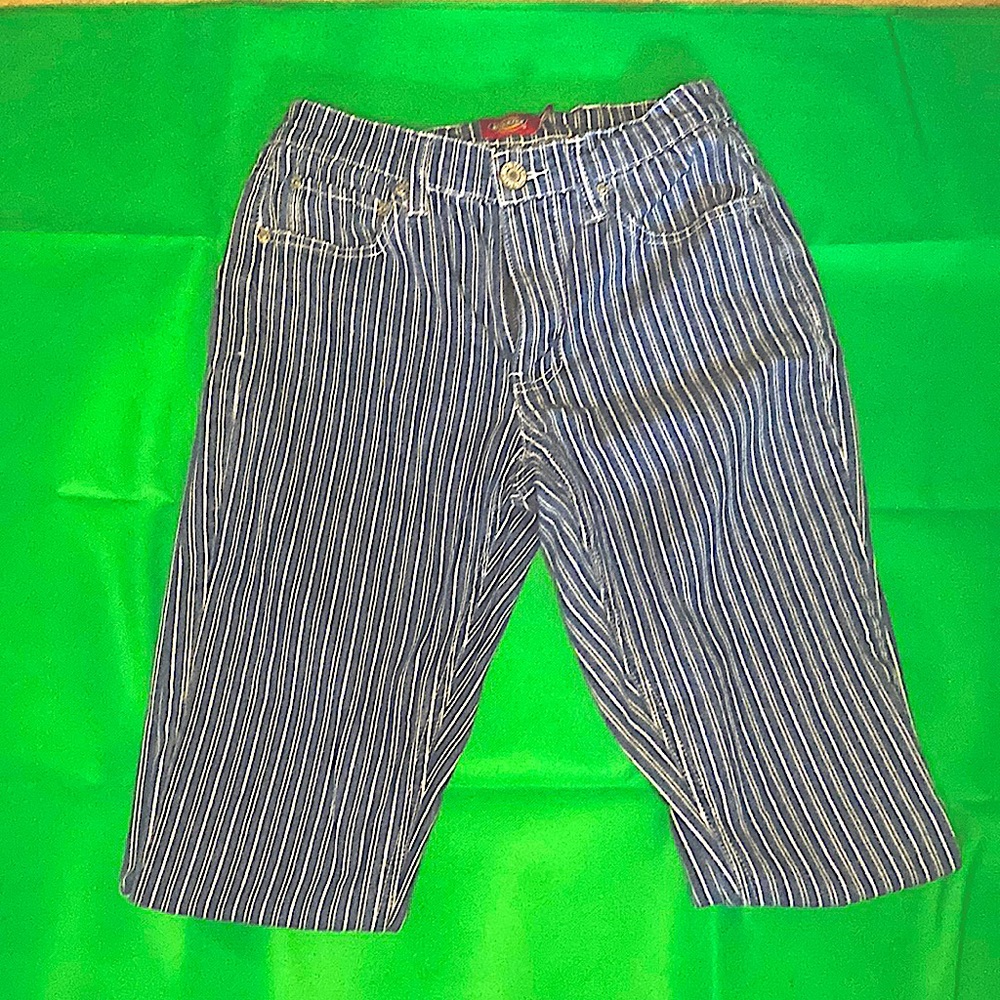 Dickies Straight striped Jean